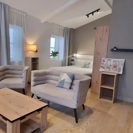 Bel Sous Les Toits De Toulouse-central-climatise- * Toulouse