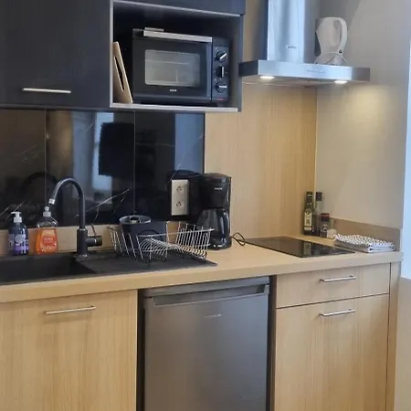 Bel Sous Les Toits De Toulouse-central-climatise- Appartement