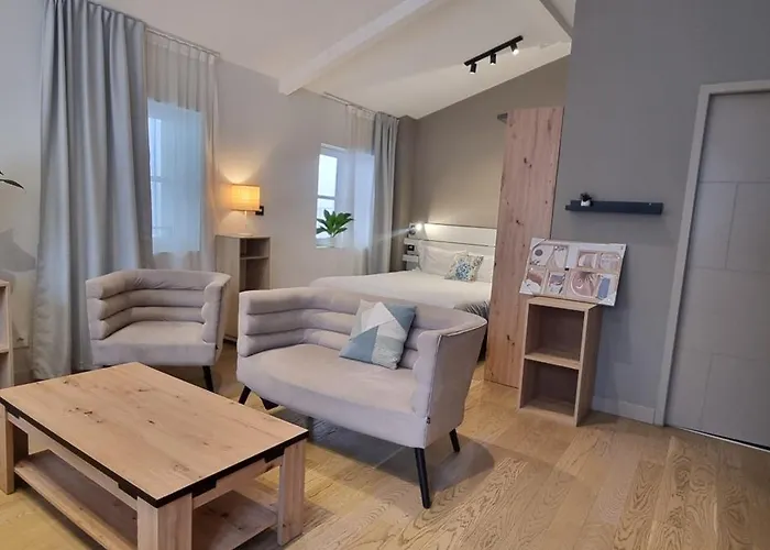 Bel Sous Les Toits De Toulouse-central-climatisé- * Toulouse