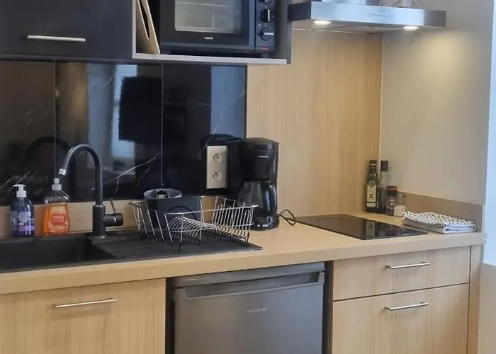 Bel Sous Les Toits De Toulouse-central-climatisé- Appartement