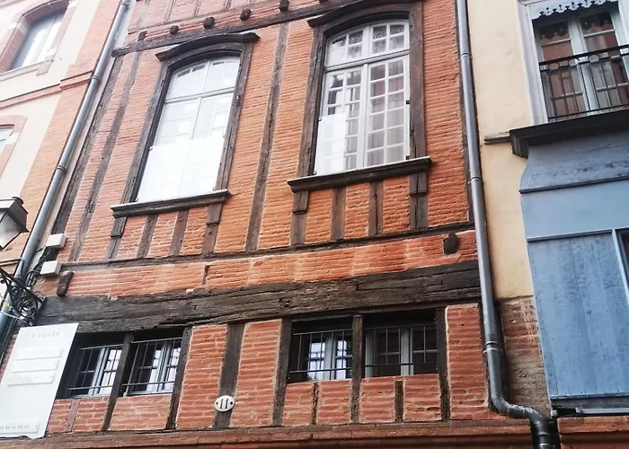 Bel Sous Les Toits De Toulouse-central-climatise- Διαμέρισμα *