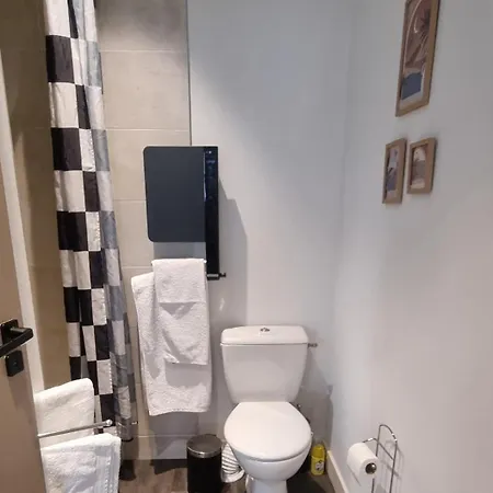 Bel Sous Les Toits De Toulouse-central-climatise- Apartamento Toulouse