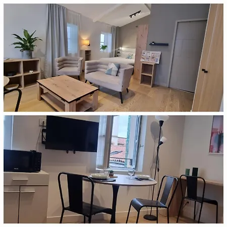 Bel Sous Les Toits De Toulouse-central-climatise- Apartamento